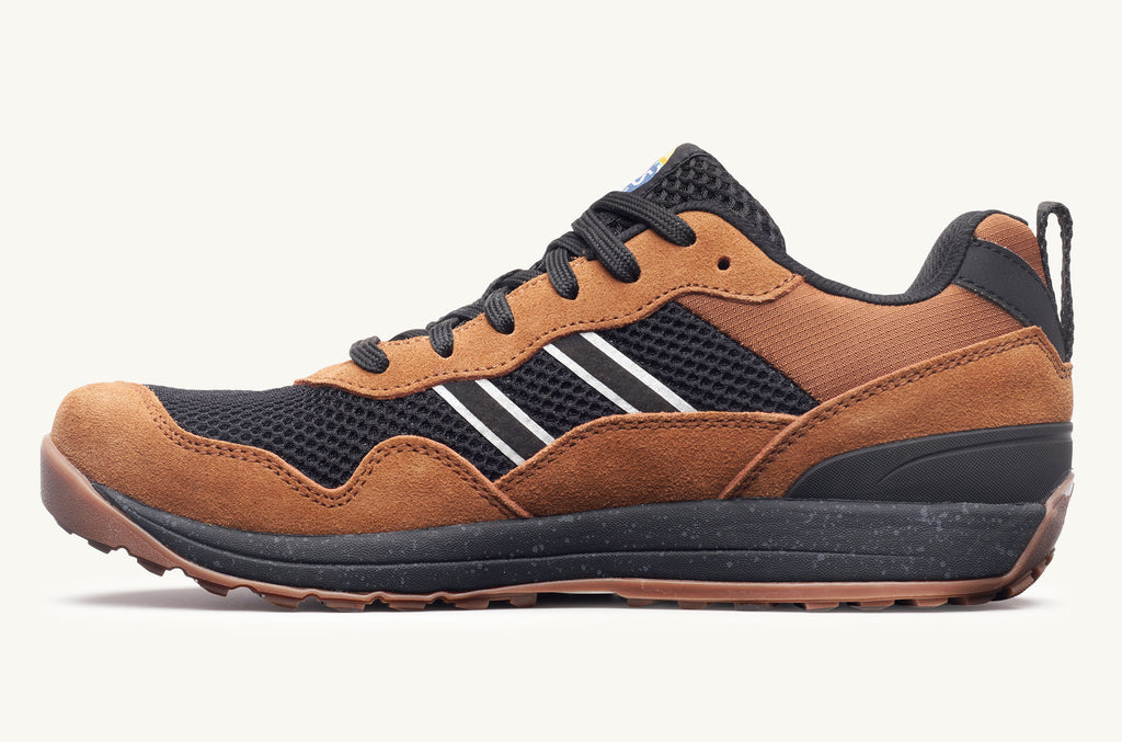 Lems Sneakers Men's Primal Pursuit Brown Black | FYB8353RR
