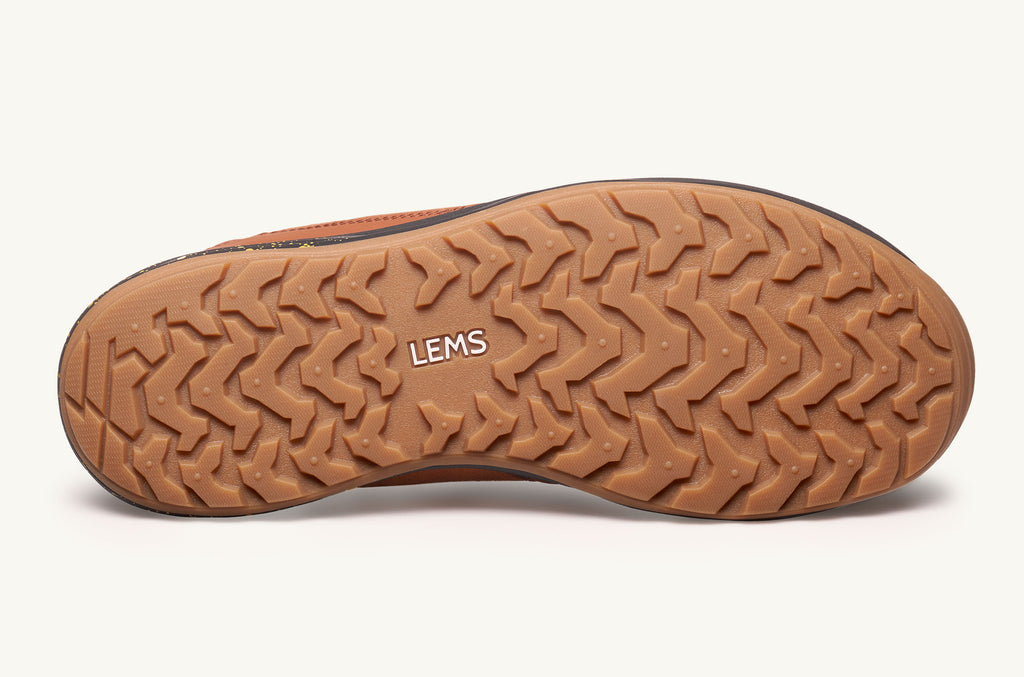 Lems Sneakers Women's Trailhead Brown Blue | HWT8610HY